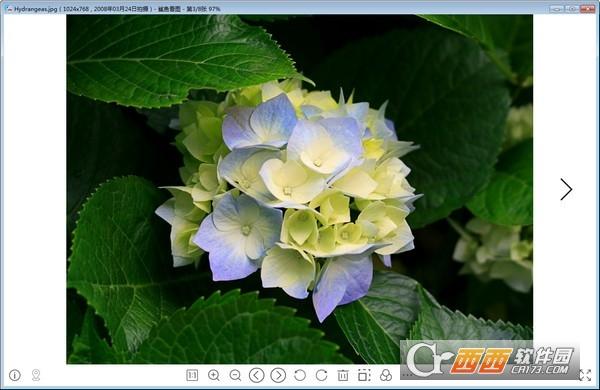 鲨鱼看图,图片浏览,看图.