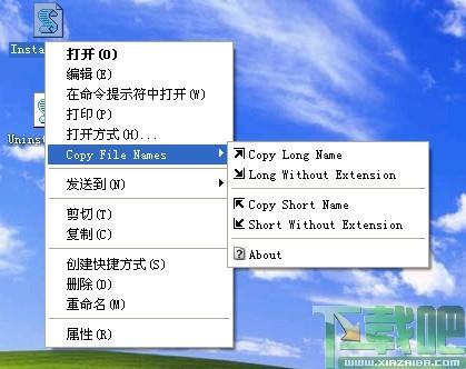 Copy File Names,Copy File Names下载